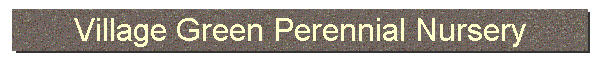 Village Green Perennial Nursery