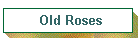 Old Roses