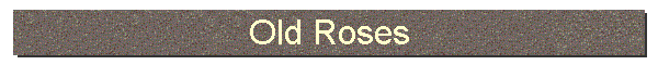 Old Roses